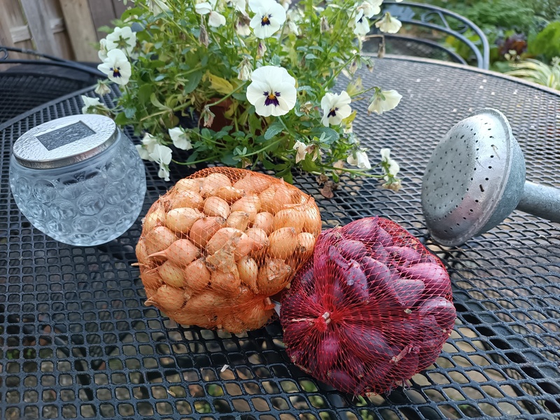 winteruien poten winteruien poten