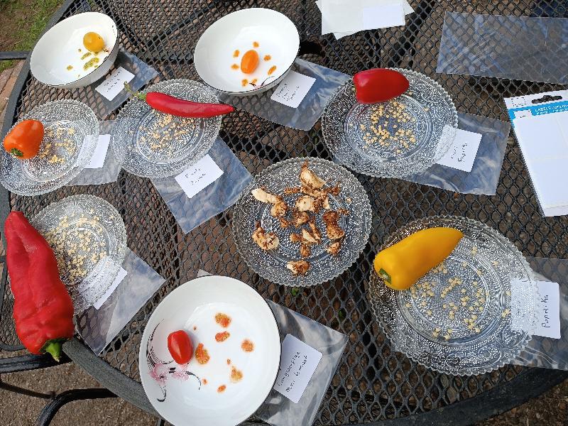 Kweek gratis je eigen groente Kweek gratis je eigen groente